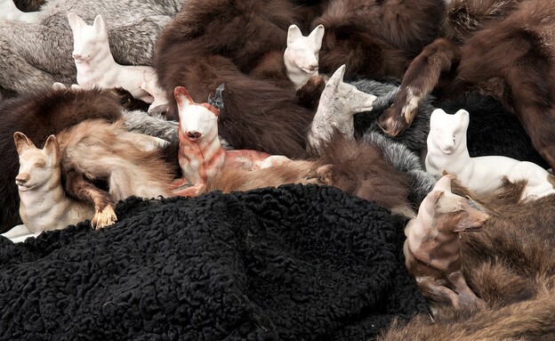 מה הלוז –10.05- משפחה - זומו בנהריה- טליה טוקטלי-מרבץ זאבות (צילום: שי הלוי, יחצ)