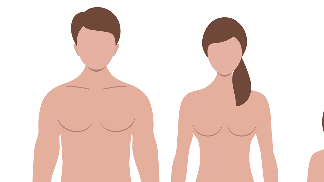 עירום, אילוסטרציה