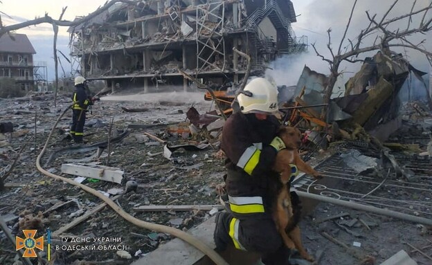 לוחם מכבה אש מציל כלב מההריסות (צילום: כוחות הביטחון האוקראינים)