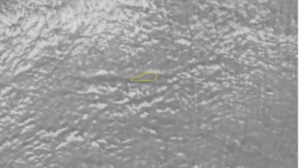 האגם שהתגלה באנטארטיקה