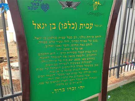 מרגש (צילום: שירי אלג'ם)