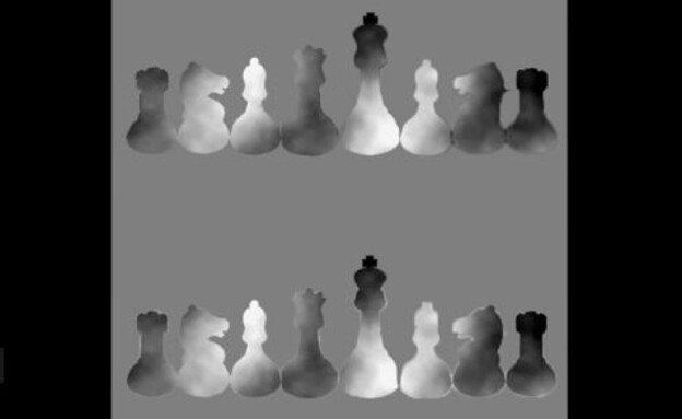 שחמט (צילום: מתוך הרשתות החברתיות לפי סעיף 27א' לחוק זכויות יוצרים)