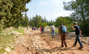 טיול שנתי בהרי ירושלים (צילום: dnaveh, shutterstock)