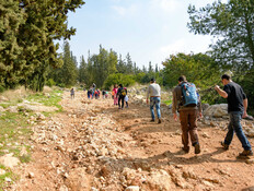 טיול שנתי בהרי ירושלים (צילום: dnaveh, shutterstock)