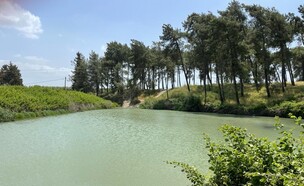 האגם הנסתר במגידו (צילום: ארז דגן)