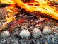 תפוחי אדמה על האש (צילום: joyfull, shutterstock)