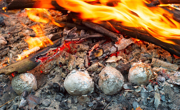 תפוחי אדמה על האש (צילום: joyfull, shutterstock)