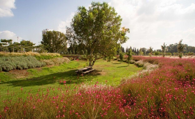 מתחם נחל כופר בפארק אריאל שרון (צילום: פארק אריאל שרון)