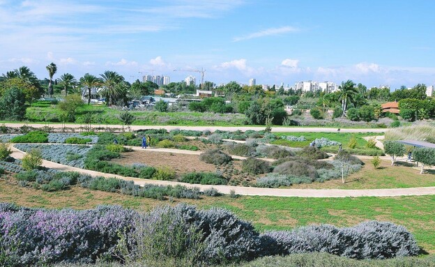 גינת התבלינים במתחם חוות שלם בפארק אריאל שרון  (צילום: בן ניקסון)