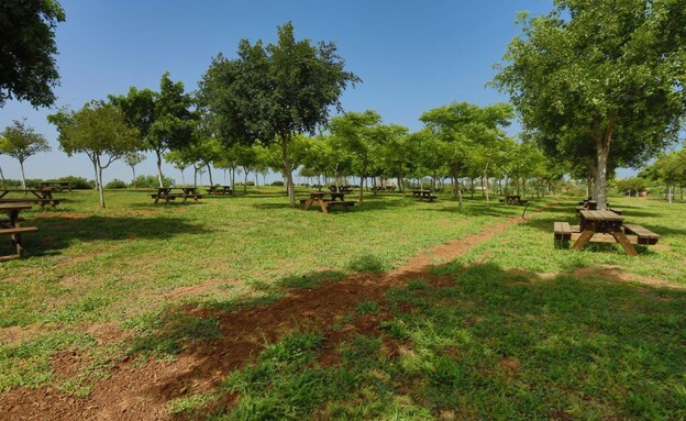 מתחם חוות שלם פארק אריאל שרון (צילום: דורון ישינסקי)