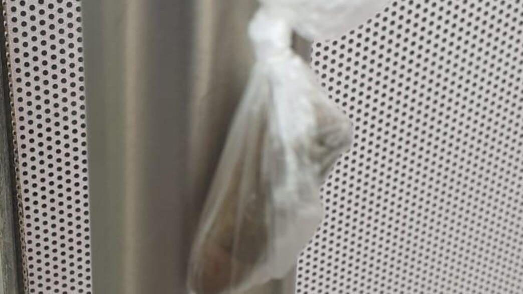 איומים על אמו של אחד ממארגני מצעד הגאווה בנתיבות