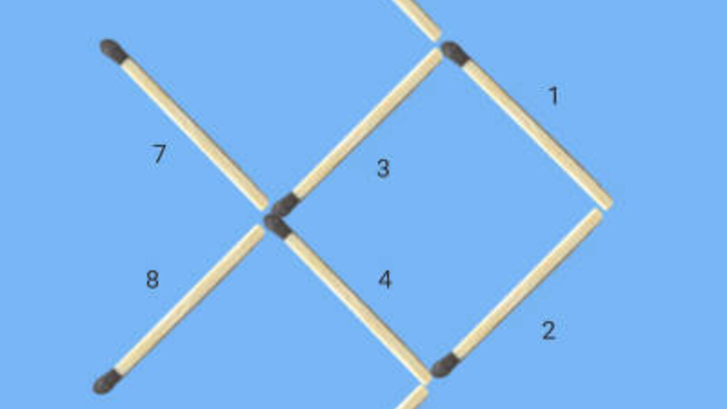 חידת הדג חידת הדג