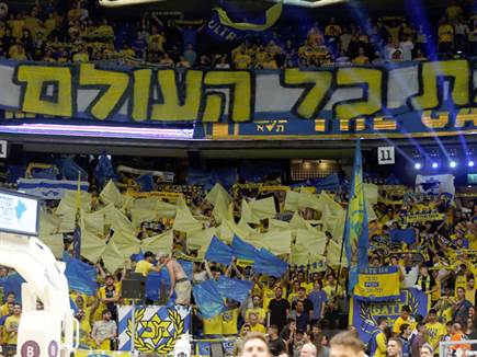 קיוו לסוויפ והתאכזבו (אלן שיבר)