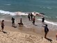 גופת לווייתן נסחפה לחופי תל אביב