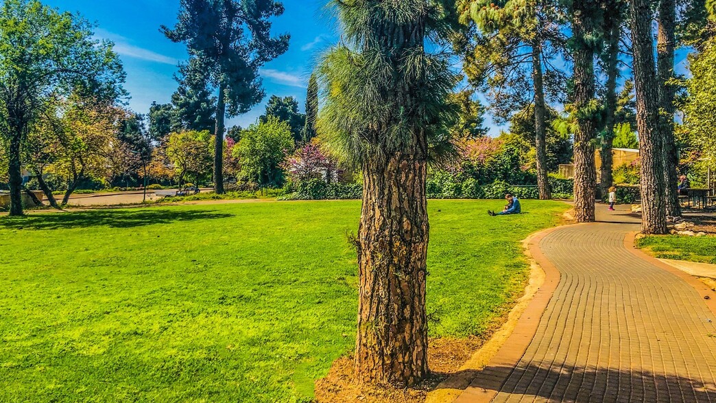 מטיילים מלכיה (צילום: איה בן עזרי)