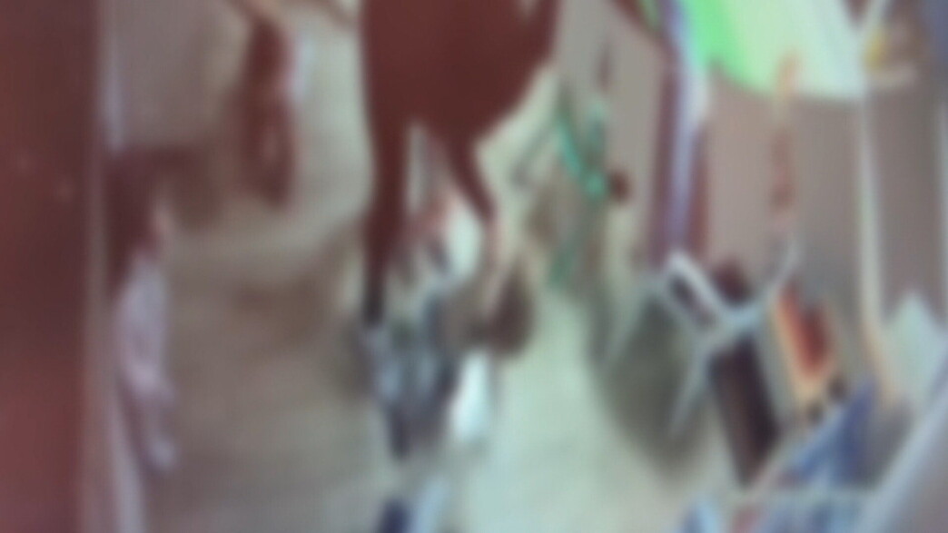 תיעוד מ"פעוטון הזוועות"