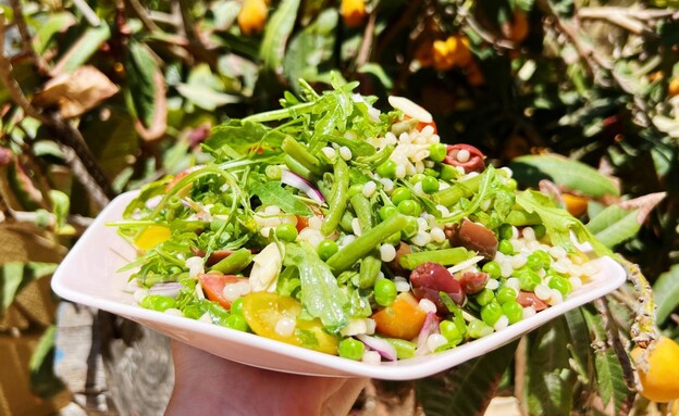 סלט פתיתים גרסה פרווה סלט פתיתים גרסה פרווה