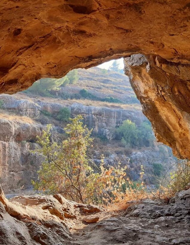 חלילים (צילום: עליזה ברנובה)