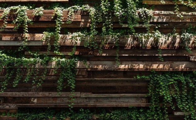קירות ירוקים אדריכלות שרון וייזר (צילום: בן ישראל- תכנון וביצוע כרכום עיצוב ונוף, יח"צ)