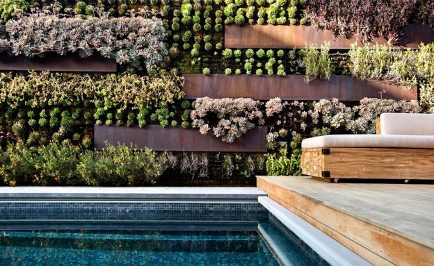 קירות ירוקים עיצוב יניב סלומון, תכנון כרכום עיצוב נוף (צילום: גלעד רדט, יח"צ)