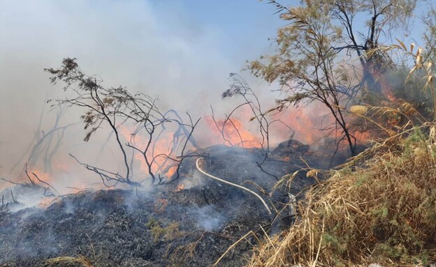 שריפה באזור ים המלח (צילום: דוברות כב"ה מחוז ירושלים)