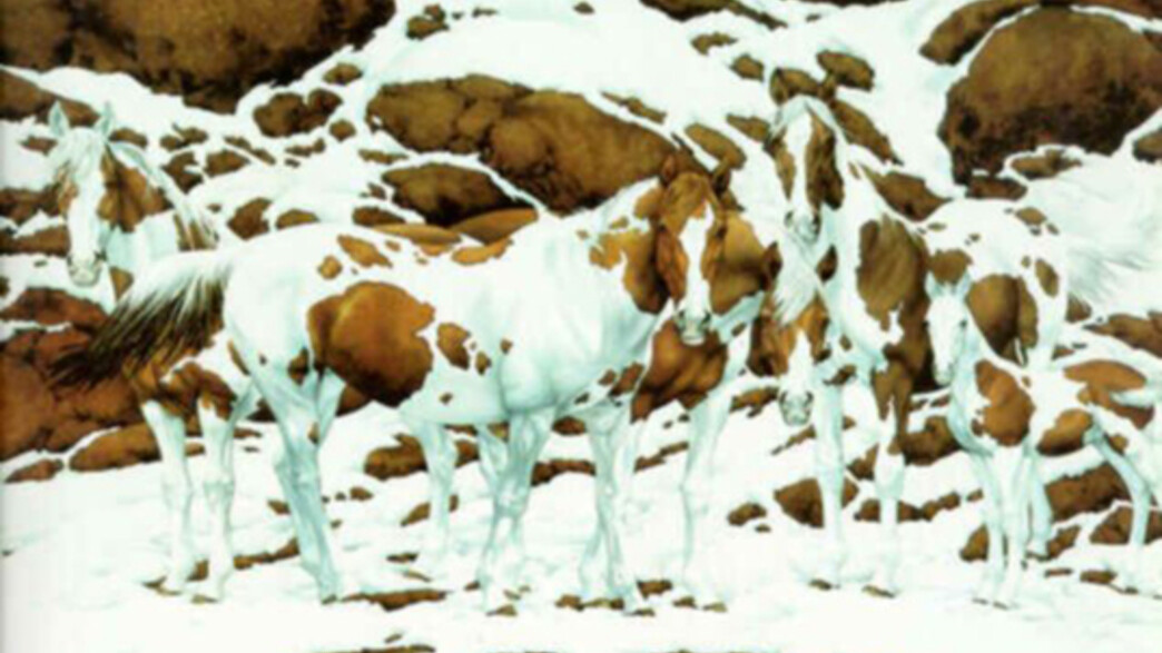 חידת הסוסים