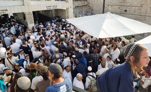 עשרות מתפללים יהודים בכניסה להר הבית בפתח יום ירושלים (צילום: סעיף 27א לחוק זכויות יוצרים)