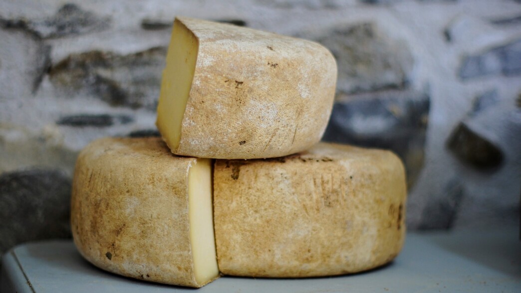 גבינה קשה (צילום: unsplash)