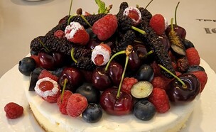 עוגת גבינה פירות אדומים של מיקי שמו (צילום: יחסי ציבור)