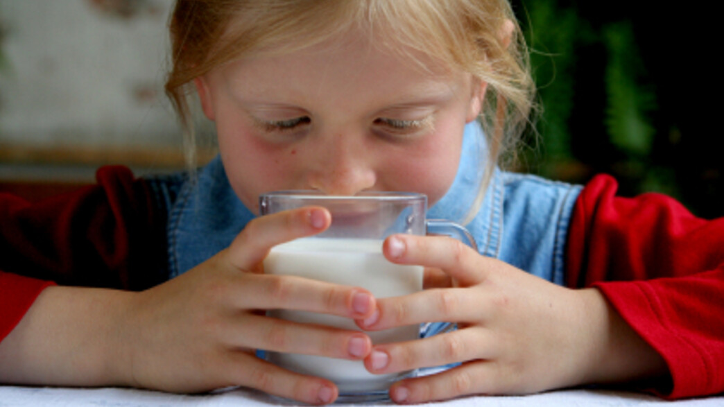 ילדה באדום וכחול יושבת ומחזיקה כוס חלב ומביטה בו