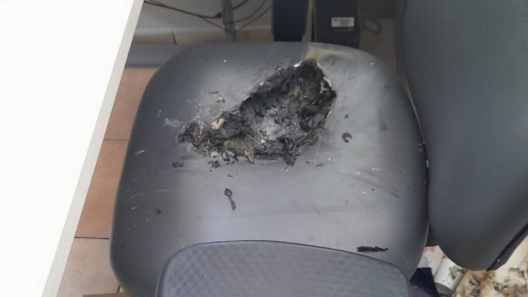 התחזה לרופא והשחית משרד