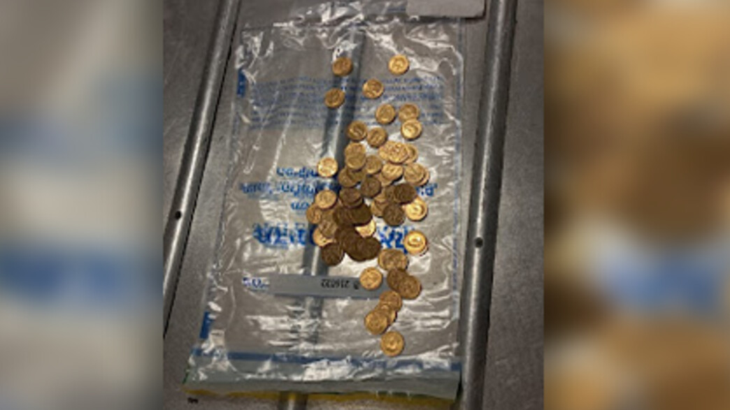 המטבעות שנמצאו על הנוסעים בנתב"ג