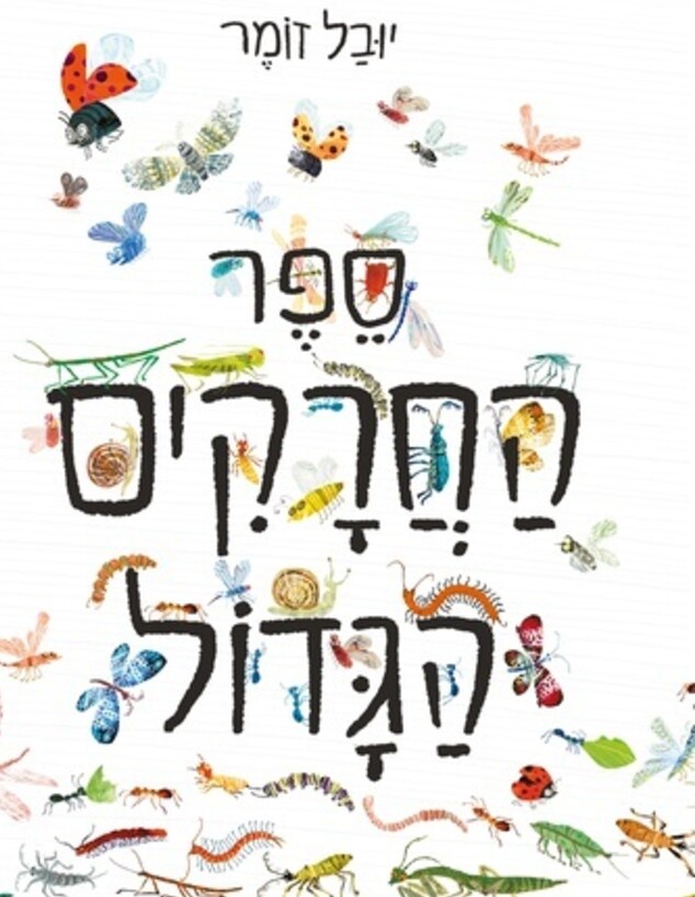 כריכת 