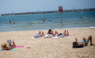 רוחצים בחוף הים בתל אביב, אוגוסט 2021 (צילום: מרים אלסטר, פלאש/90 )