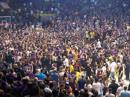 בטירוף שלהם (אלן שיבר)