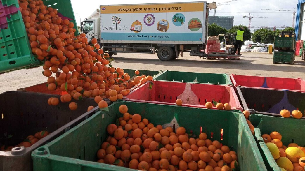 לקט ישראל לקט ישראל