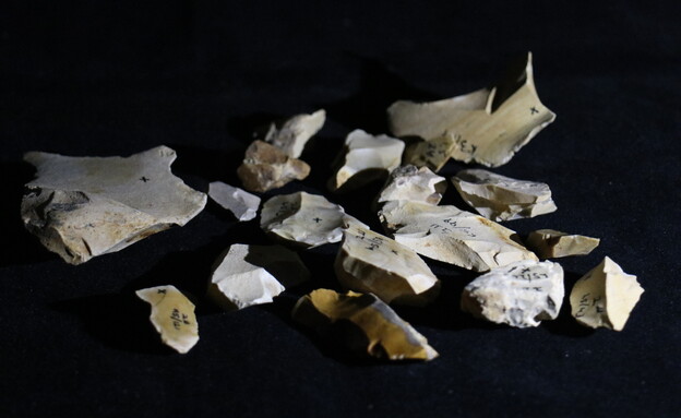 ממצאים מאתר עברון (צילום: זאנה סטפקה, מכון ויצמן למדע)