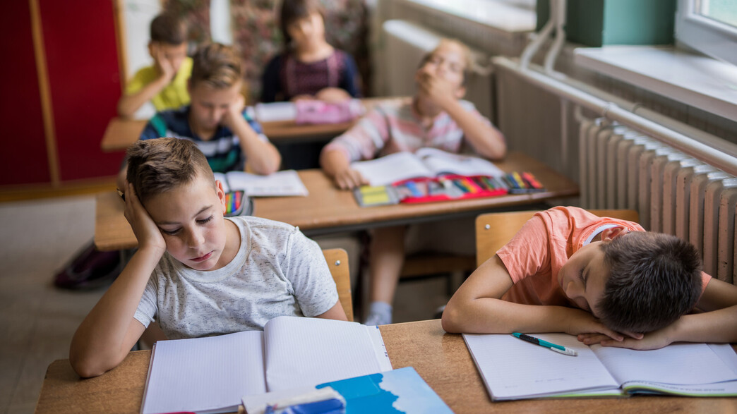 תלמידים, אילוסטרציה תלמידים, אילוסטרציה