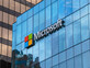 מיקרוסופט, Microsoft (צילום: Volodymyr Kyrylyuk, shutterstock)