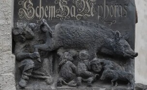 פסל החזירה היהודיה בגרמניה (צילום: AP)