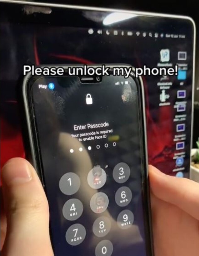 איך לפתוח אייפון בלי ידיים (צילום: @hardreset.info, tiktok)