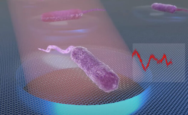 חיידקים עמידים (צילום: youtube)