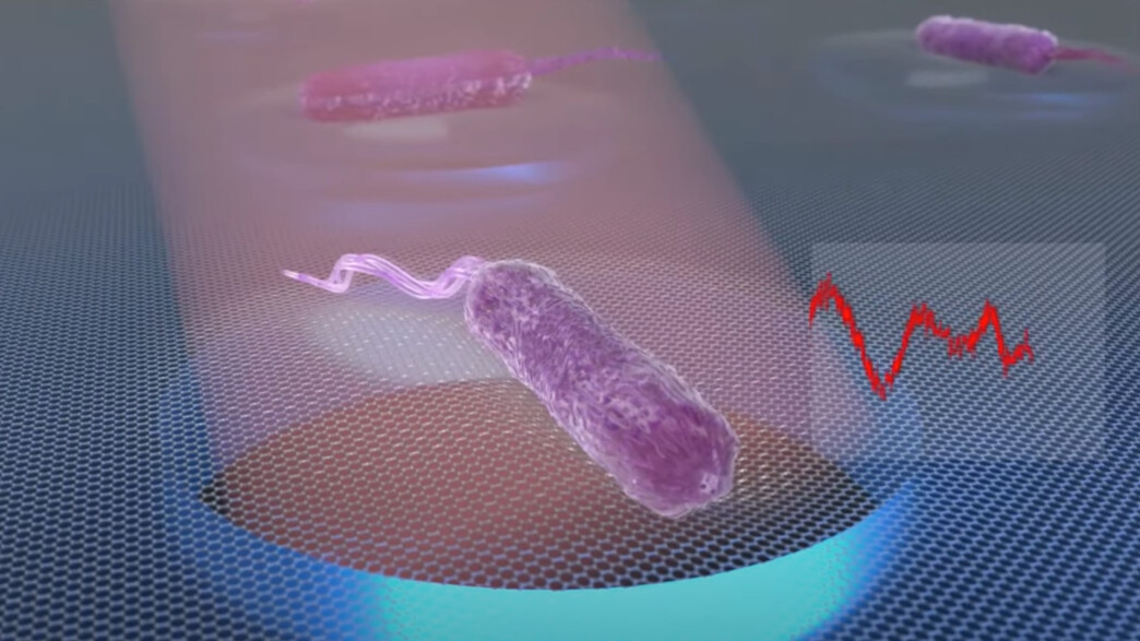 חיידקים עמידים (צילום: youtube)