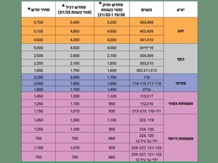 מחירי המנויים (האתר הרשמי של מכבי חיפה) (צילום: ספורט 5)