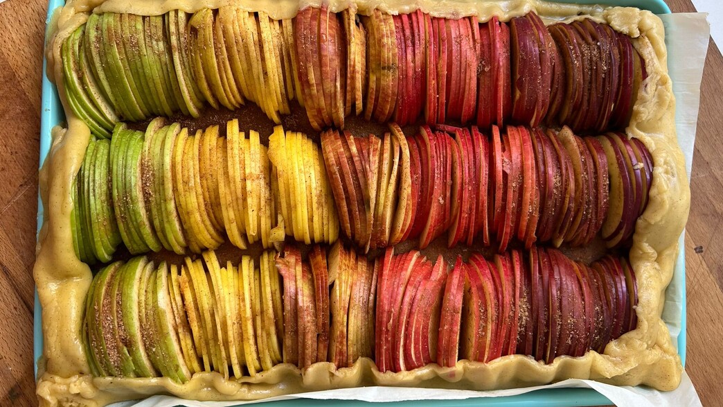 טראט תפוחים צבעוני (צילום: ירדן הראל)