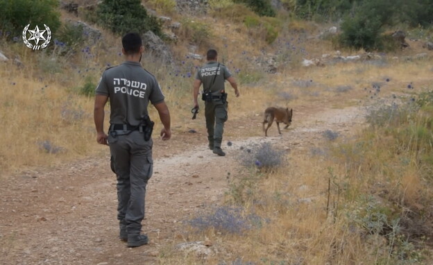 חיפושים אחרי מוישי (צילום: דוברות משטרת ישראל)