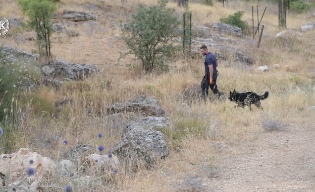 חיפושים אחרי מוישי (צילום: דוברות משטרת ישראל)