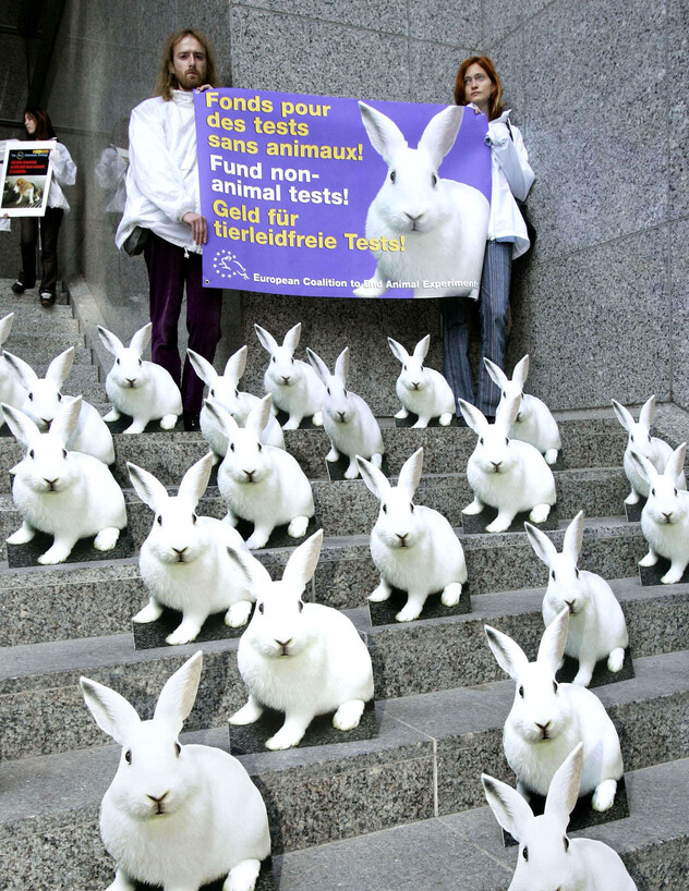 מפגינים נגד ניסוויים בבעלי חיים (צילום: Reuters)