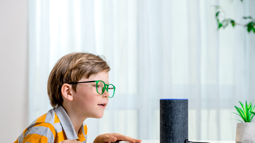 אלכסה וילד אילוסטרציה