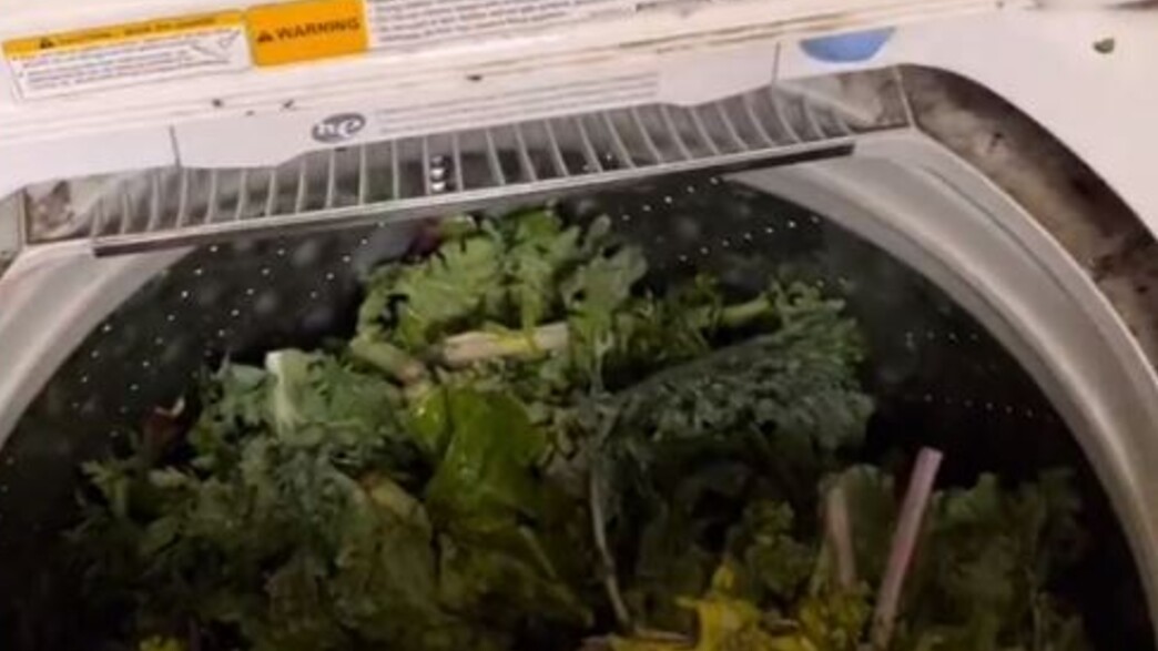 שטיפת ירקות